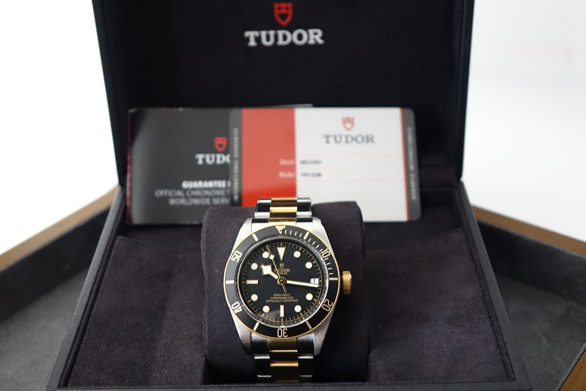 Tudor Black Bay S&G 41 79733N